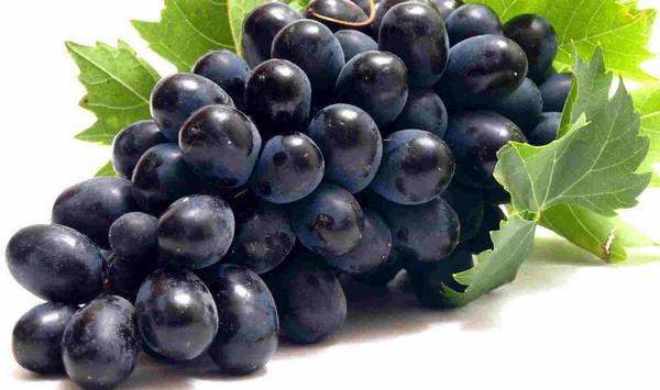 crno grozdje