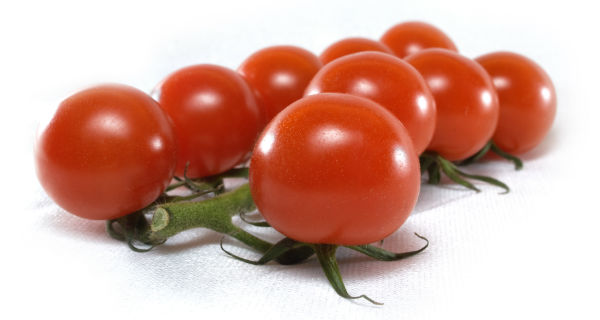paradajz-maraton